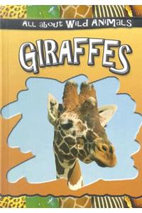 Giraffes