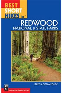 Best Short Hikes in Redwood National and State Parks