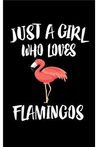 Just A Girl Who Loves Flamingos