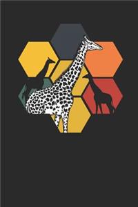 Giraffes
