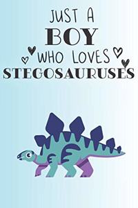 Just A Boy Who Loves Stegosauruses