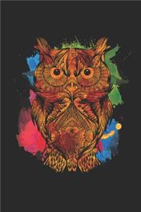 Owl Colorful