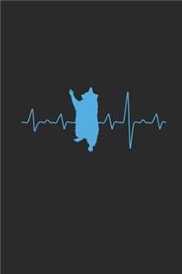 Racoon Heartbeat