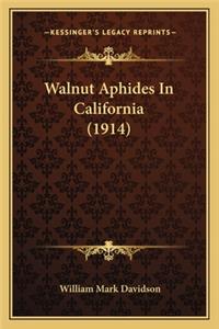 Walnut Aphides In California (1914)