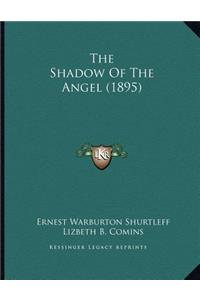 The Shadow Of The Angel (1895)
