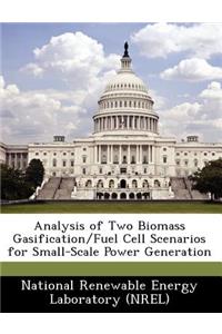 Analysis of Two Biomass Gasification/Fuel Cell Scenarios for Small-Scale Power Generation