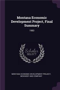 Montana Economic Development Project, Final Summary