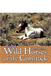 Baby Wild Horses of the Comstock