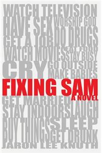 Fixing Sam