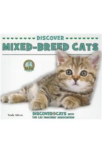 Discover Mixed-Breed Cats
