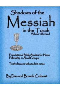 Shadows of the Messiah in the Torah Volume 3