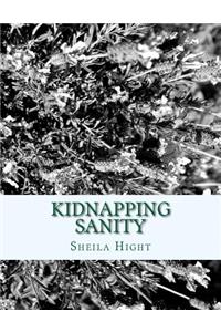 Kidnapping Sanity