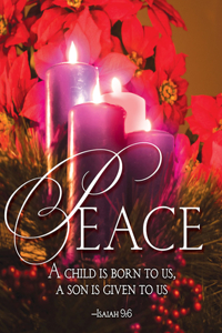 Peace Advent Candle Sunday 4 Bulletin, Large (Pkg of 50)