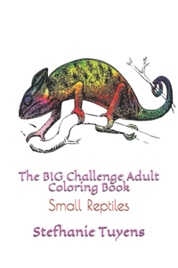BIG Challenge Adult Coloring Book