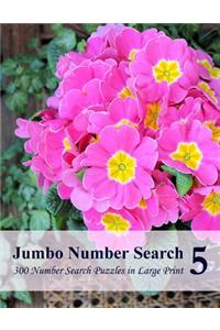 Jumbo Number Search 5