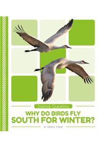 Why Do Birds Fly South for Winter?