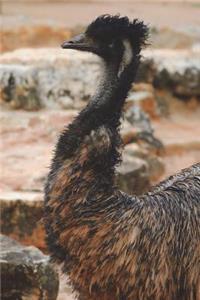 The Australian Emu Journal