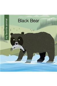 Black Bear
