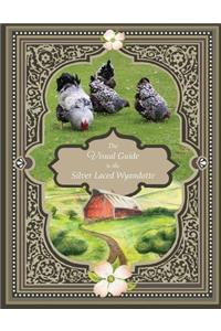 The Visual Guide to the Silver Laced Wyandotte