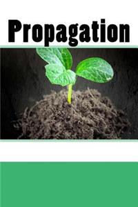 Propagation (Journal / Notebook)