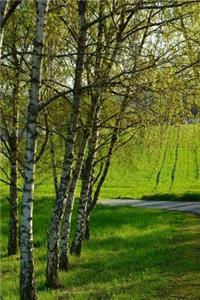 Birch Trees in a Field Journal