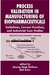 Process Validation in Manufacturing of Biopharmaceuticals