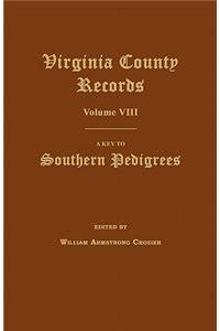 Virginia County Records, Volume VIII