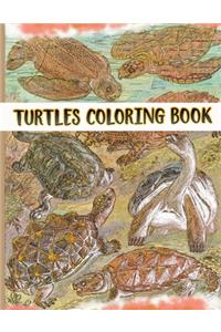 Turtles Coloring Book