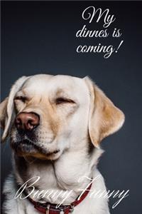 Funny Dog