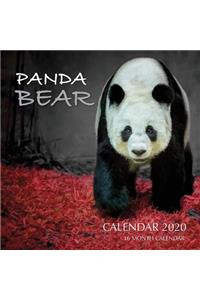 Panda Bear Calendar 2020