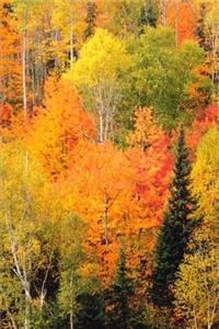 2020 Weekly Planner Fall Foliage Valley Autumn Season 134 Pages