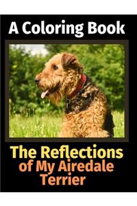 Reflections of My Airedale Terrier