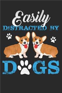 easily distracted by dogs