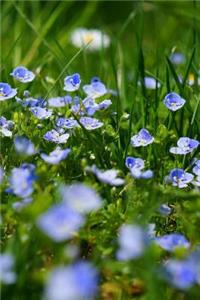 Meadow Notebook