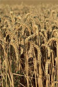 Wheat Ready to be Harvested Journal