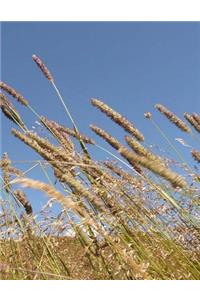 Grass Notebook Large Size 8.5 x 11 Ruled 150 Pages Softcover