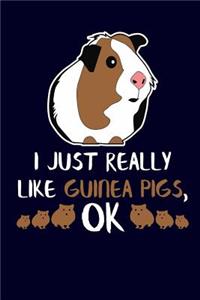 I Just Really Like Guinea Pigs, Ok