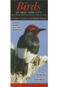 Birds of New York City, Incl. Central Park & Long Island