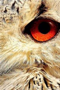 Orange Eye of An Owl Journal