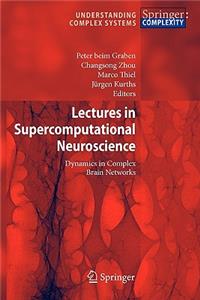 Lectures in Supercomputational Neuroscience