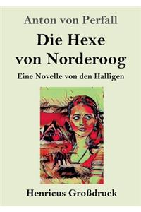 Hexe von Norderoog (Großdruck): Eine Novelle von den Halligen