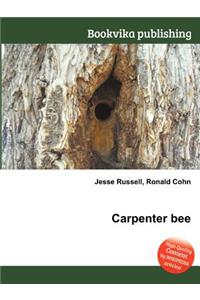 Carpenter Bee