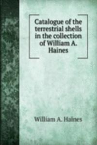 CATALOGUE OF THE TERRESTRIAL SHELLS IN