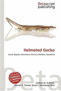 Helmeted Gecko