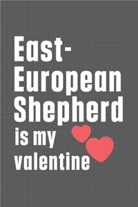 East-European Shepherd is my valentine