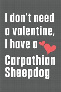 I don't need a valentine, I have a Carpathian Sheepdog