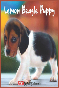 Beagle Puppies 2021 Wall Calendar