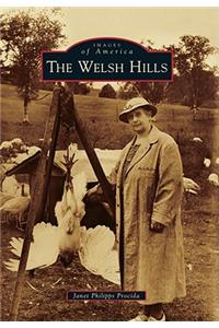 Welsh Hills