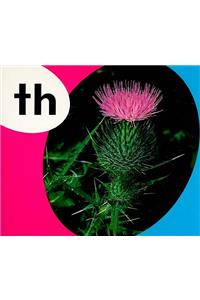 Th