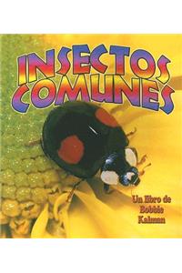 Insectos Comunes (Everyday Insects)